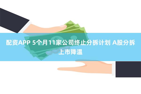 配资APP 5个月11家公司终止分拆计划 A股分拆上市降温