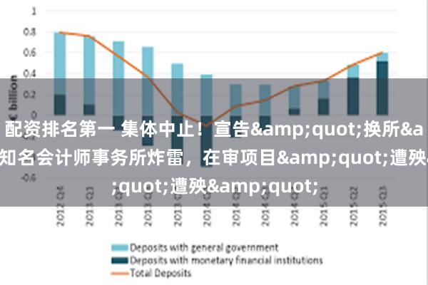 配资排名第一 集体中止！宣告&quot;换所&quot;！知名会计师事务所炸雷，在审项目&quot;遭殃&quot;