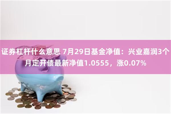 证券杠杆什么意思 7月29日基金净值：兴业嘉润3个月定开债最新净值1.0555，涨0.07%