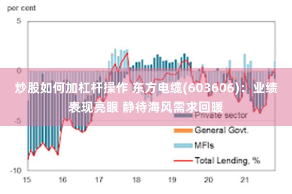 炒股如何加杠杆操作 东方电缆(603606)：业绩表现亮眼 静待海风需求回暖