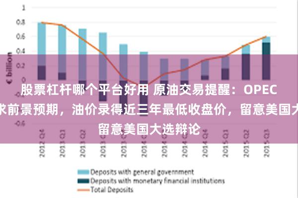 股票杠杆哪个平台好用 原油交易提醒：OPEC下调需求前景预期，油价录得近三年最低收盘价，留意美国大选辩论