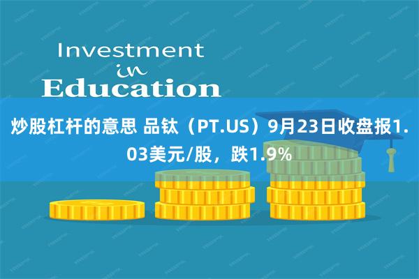 炒股杠杆的意思 品钛（PT.US）9月23日收盘报1.03美元/股，跌1.9%