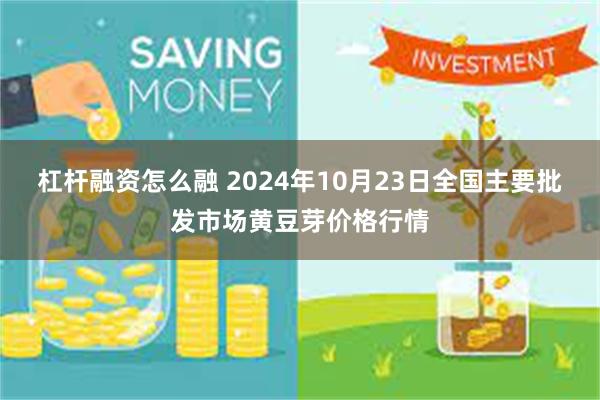 杠杆融资怎么融 2024年10月23日全国主要批发市场黄豆芽价格行情