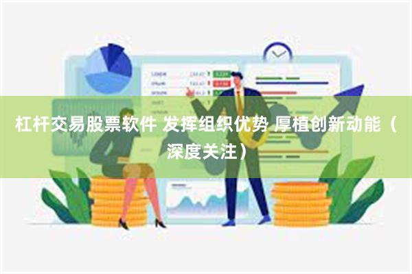 杠杆交易股票软件 发挥组织优势 厚植创新动能（深度关注）