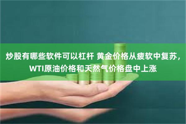 炒股有哪些软件可以杠杆 黄金价格从疲软中复苏，WTI原油价格和天然气价格盘中上涨