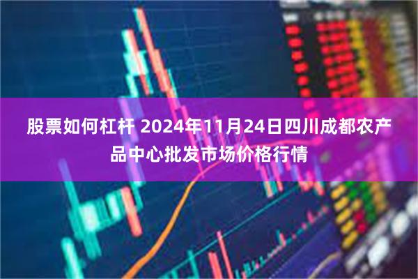 股票如何杠杆 2024年11月24日四川成都农产品中心批发市场价格行情