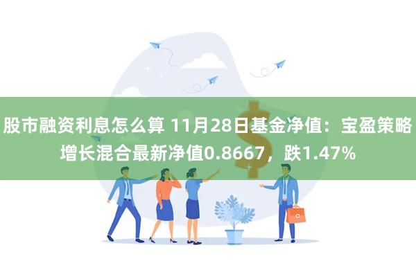 股市融资利息怎么算 11月28日基金净值：宝盈策略增长混合最新净值0.8667，跌1.47%