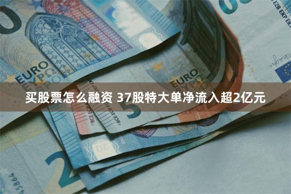 买股票怎么融资 37股特大单净流入超2亿元